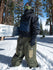 files/1_0096_carolalvettSV2506_8.jpg